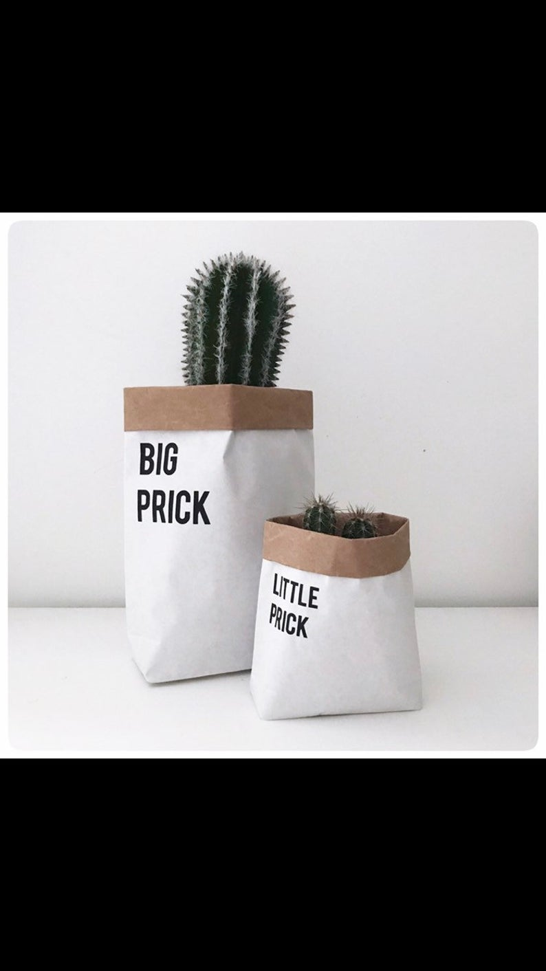 Little prick, paper bag, cactus, plant pot holder, storage bag. -   16 plants Potted holder ideas