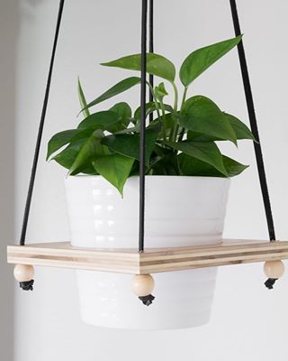 16 plants Potted holder ideas
