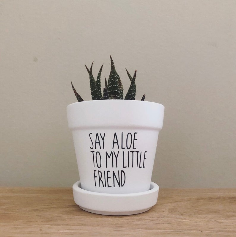 Say aloe to my little friend / cute planter / great for -   16 plants Potted holder ideas