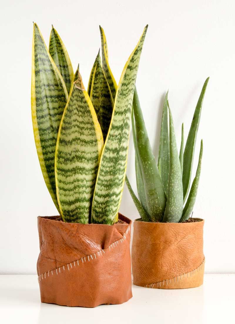 DIY leather plant pot holder · vicky myers creations -   16 plants Potted holder ideas