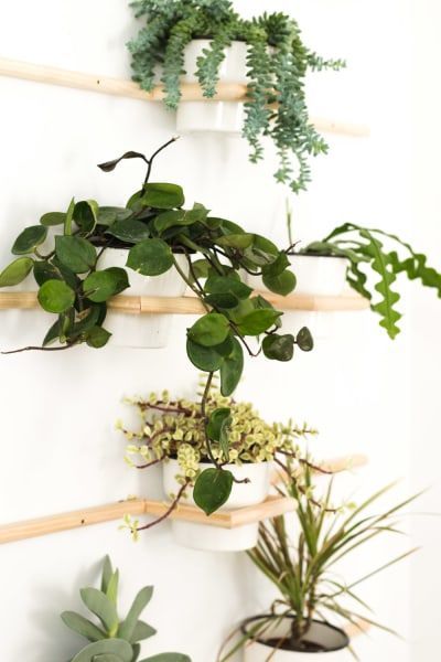 6 Indoor Plant Pot Ideas No One Will See Coming -   16 plants Potted holder ideas