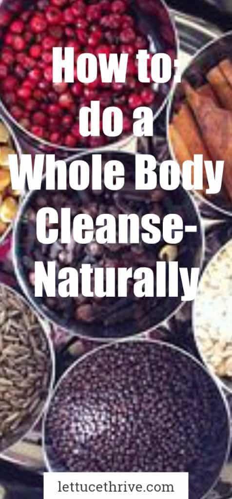 How to do a whole body cleanse naturally - Lettuce Thrive -   17 diet Body cleanses ideas