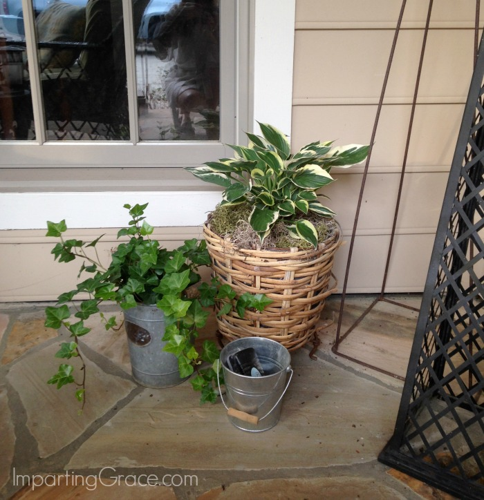 Best plants for a shady porch -   17 plants Small porches ideas