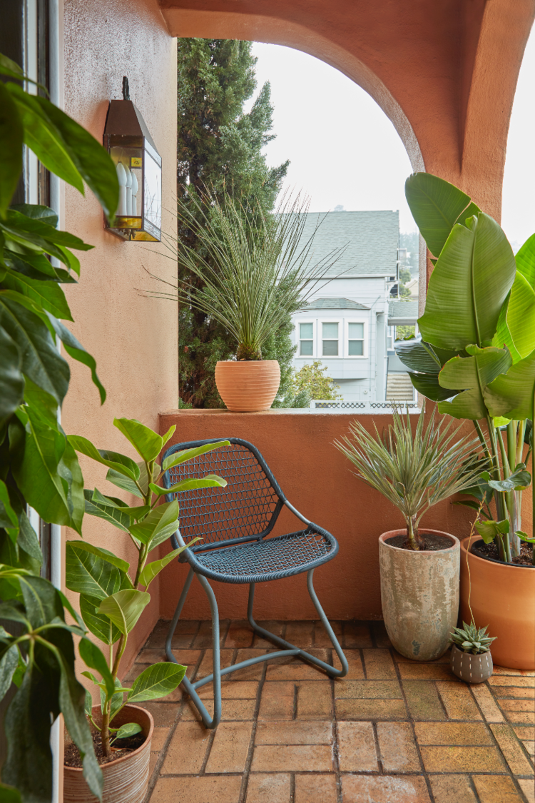 Small Garden Inspiration: Sweet San Francisco Front Porch — FLORA GRUBB GARDENS -   17 plants Small porches ideas