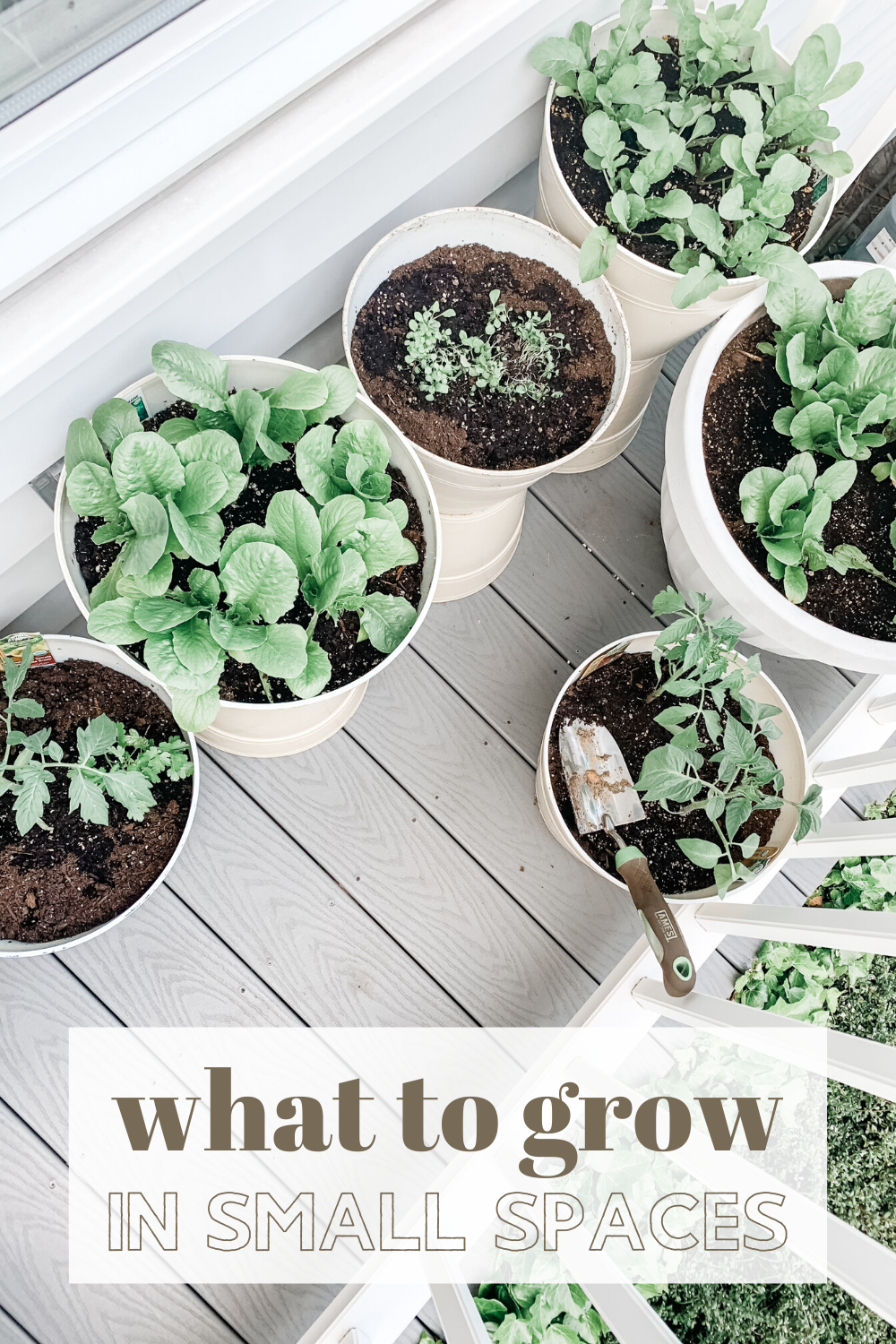 What To Grow In Small Spaces! -   17 plants Small porches ideas