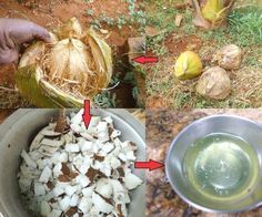 How to Make Coconut Oil From Scratch... -   19 cake Apple coconut oil ideas
