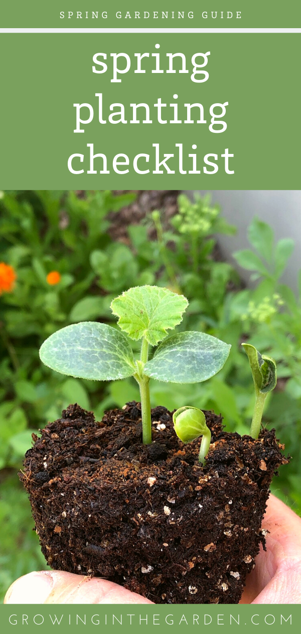 Spring Planting Checklist -   19 planting DIY spring ideas