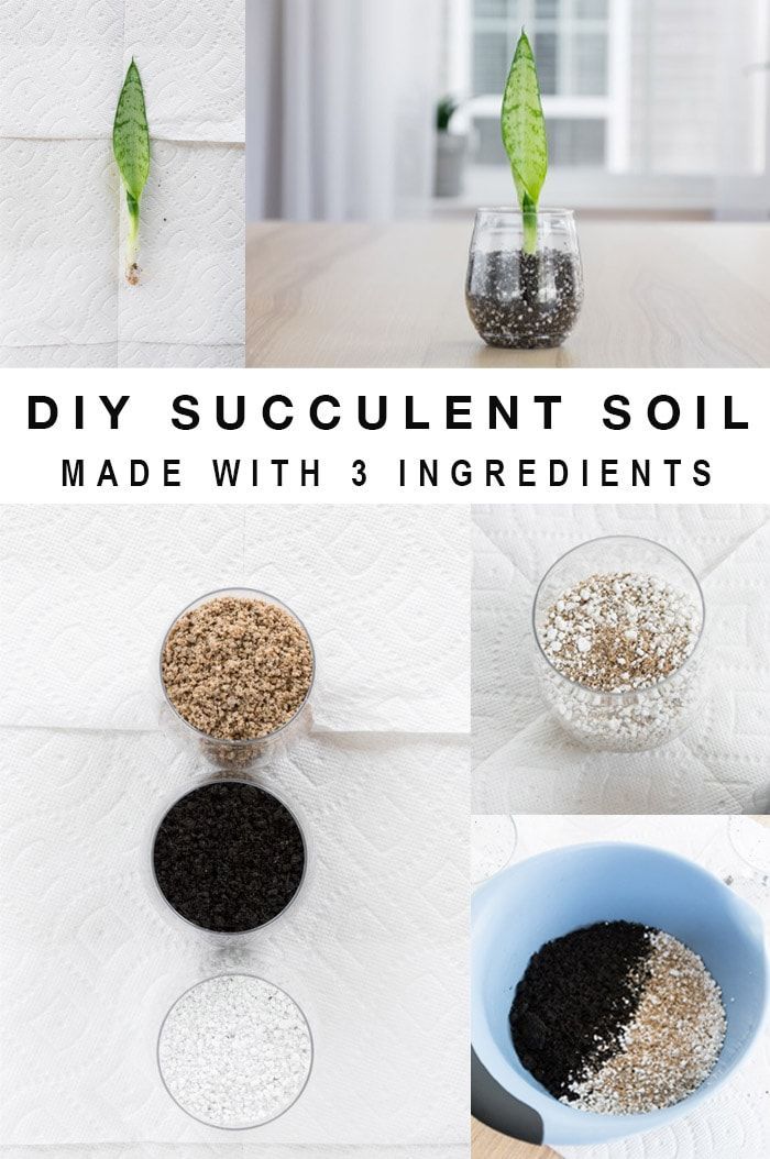 DIY Succulent Soil with 3 Ingredients -   19 planting DIY spring ideas