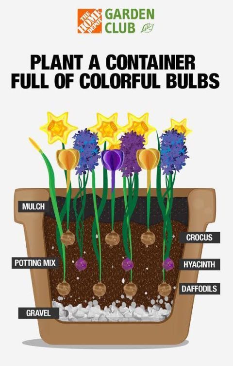 19 planting DIY spring ideas