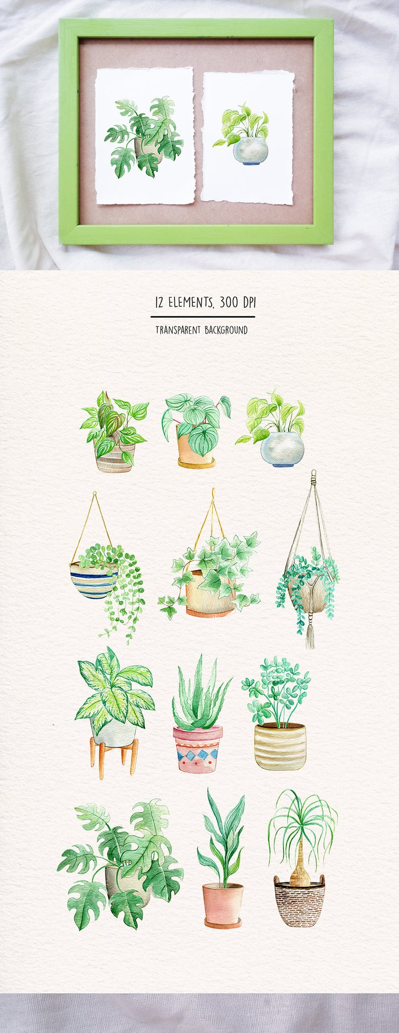 Watercolor indoor plants for urban jungle themed project, cards, sticker, scrapbook, planners clipart and more -   19 plants Garden drawing ideas