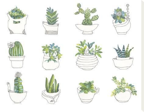 'My Indoor Garden' Stretched Canvas Print - Sandra Jacobs | Art.com -   19 plants Garden drawing ideas