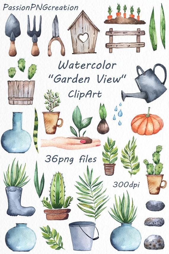 Watercolor garden clipart, watercolor plants, Watercolor Greenery clip art, PNG files, greenhouse, For Personal and Commercial Use -   19 plants Garden drawing ideas