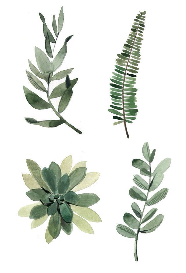 drawings color -   15 plants Watercolor pattern ideas