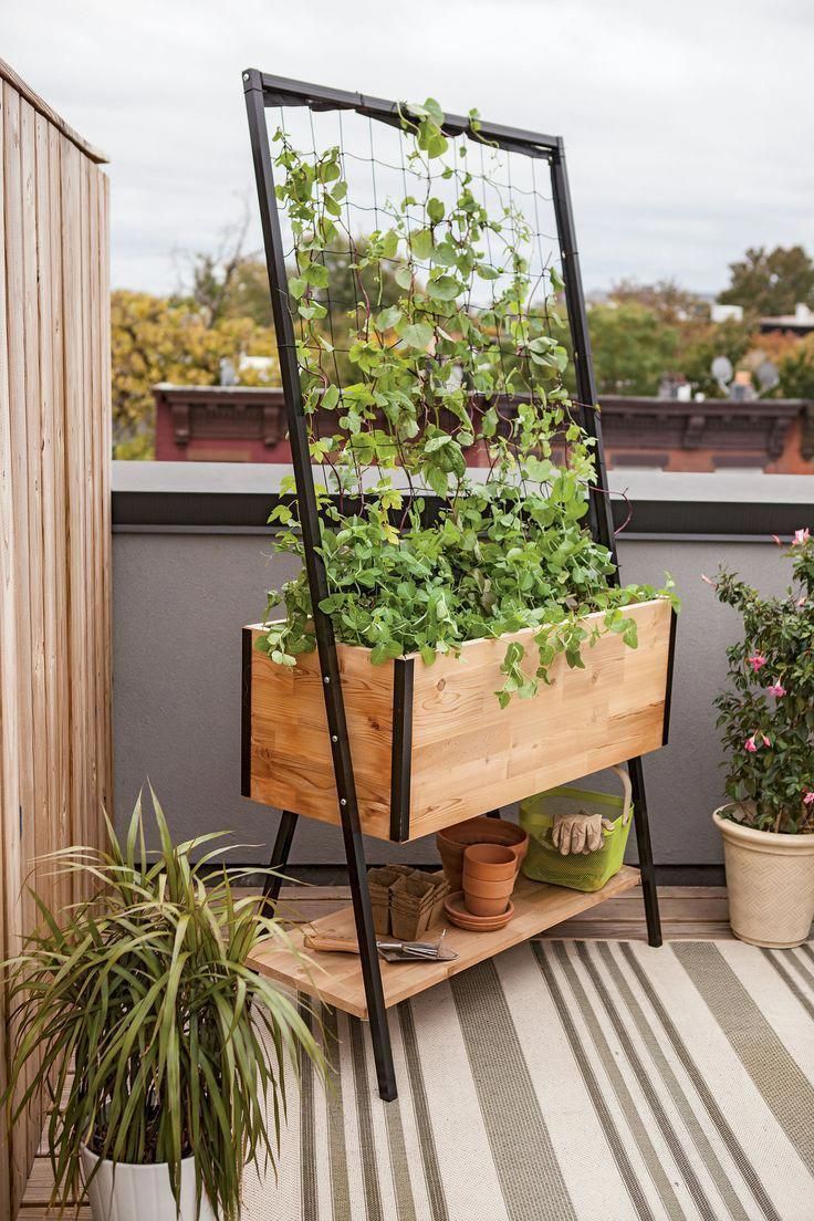 Planter Boxes: Elevated Cedar Planter Box | Orders $99+ Ship Free -   16 garden design Patio planter boxes ideas