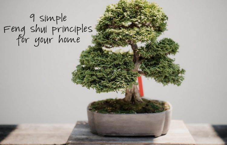 5 Feng Shui techniques for a less stressful home -   16 plants Office feng shui ideas
