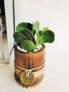 Bowl of Chinese Coins to Activate your Wealth Luck -   16 plants Office feng shui ideas