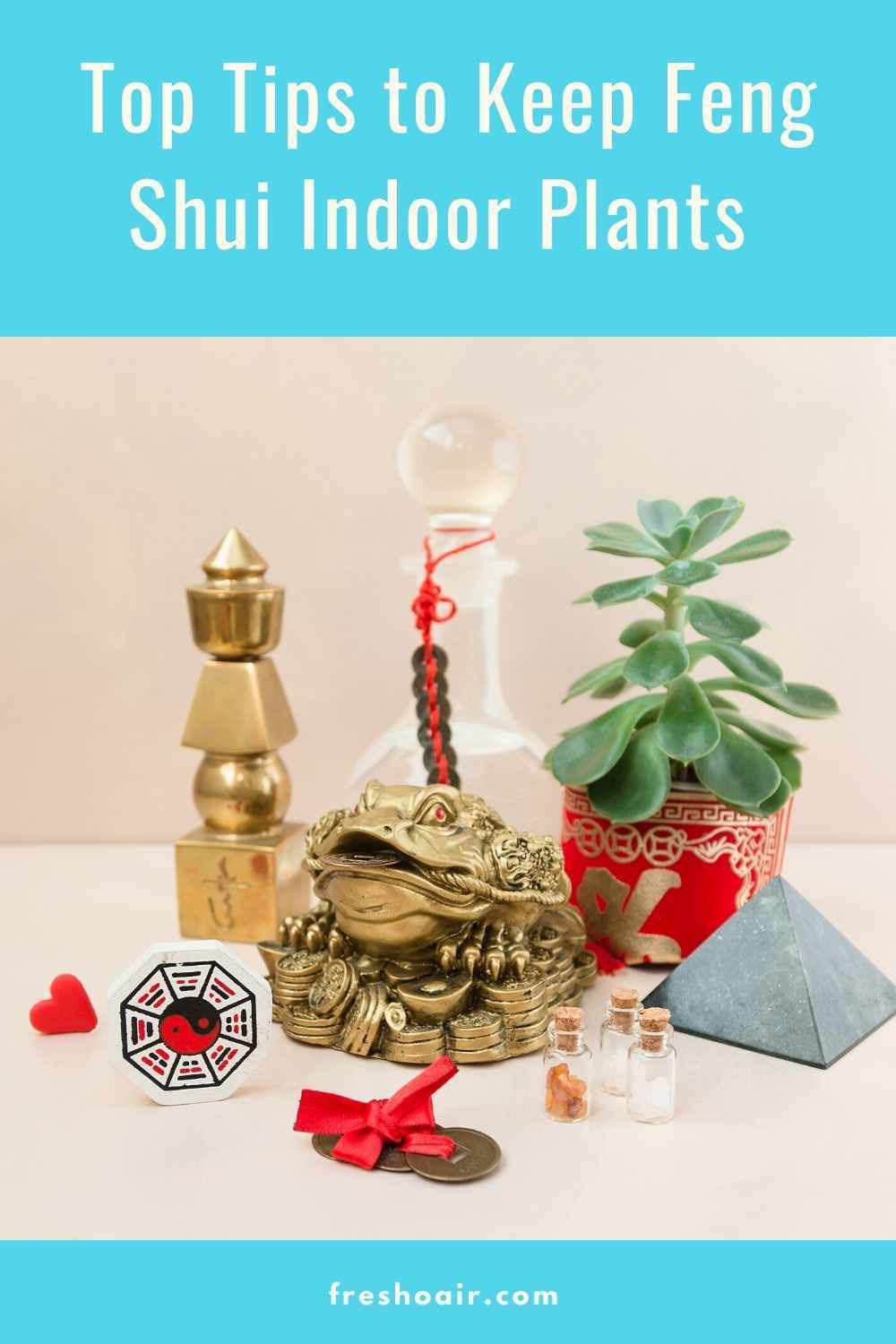 Top Tips to Place Feng Shui Plants In Your Home -   16 plants Office feng shui ideas