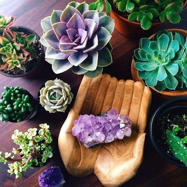 5 Ways to Use Crystals for Good Feng Shui in Your Home -   16 plants Office feng shui ideas