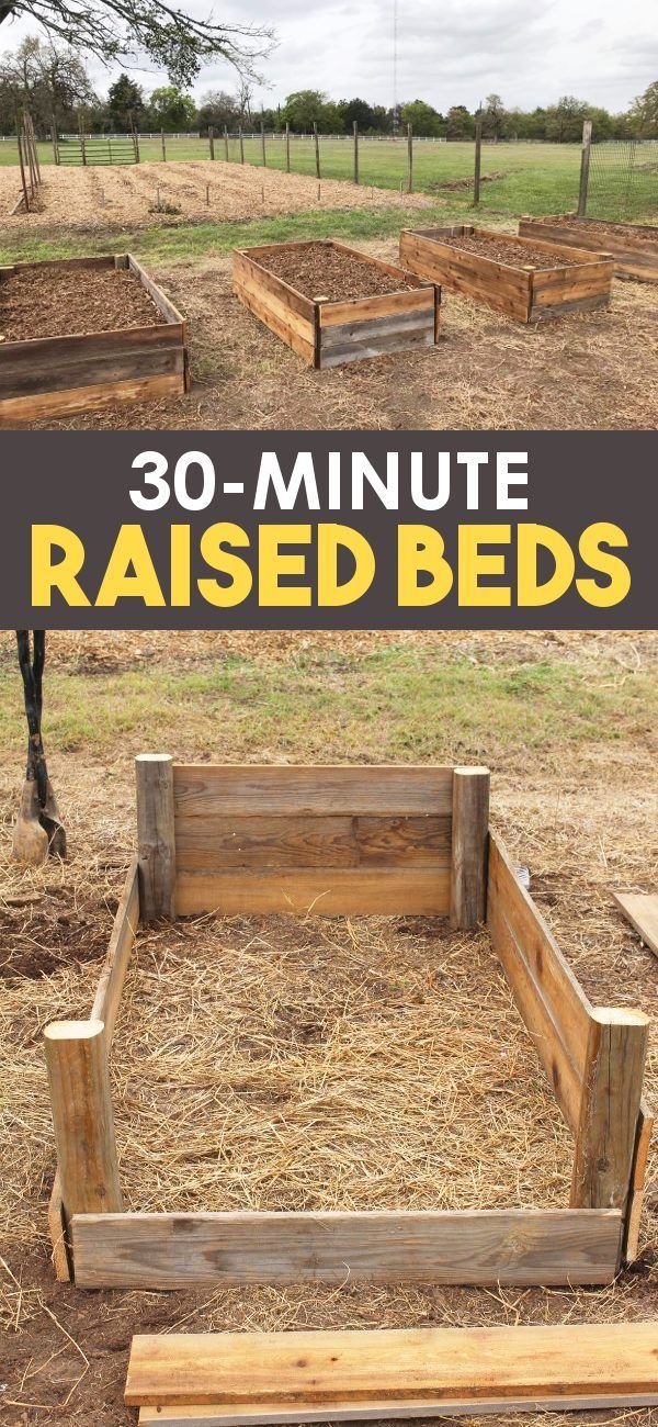 30-Minute DIY Raised Garden Beds (cheap and easy) -   17 garden design Plants raised beds ideas