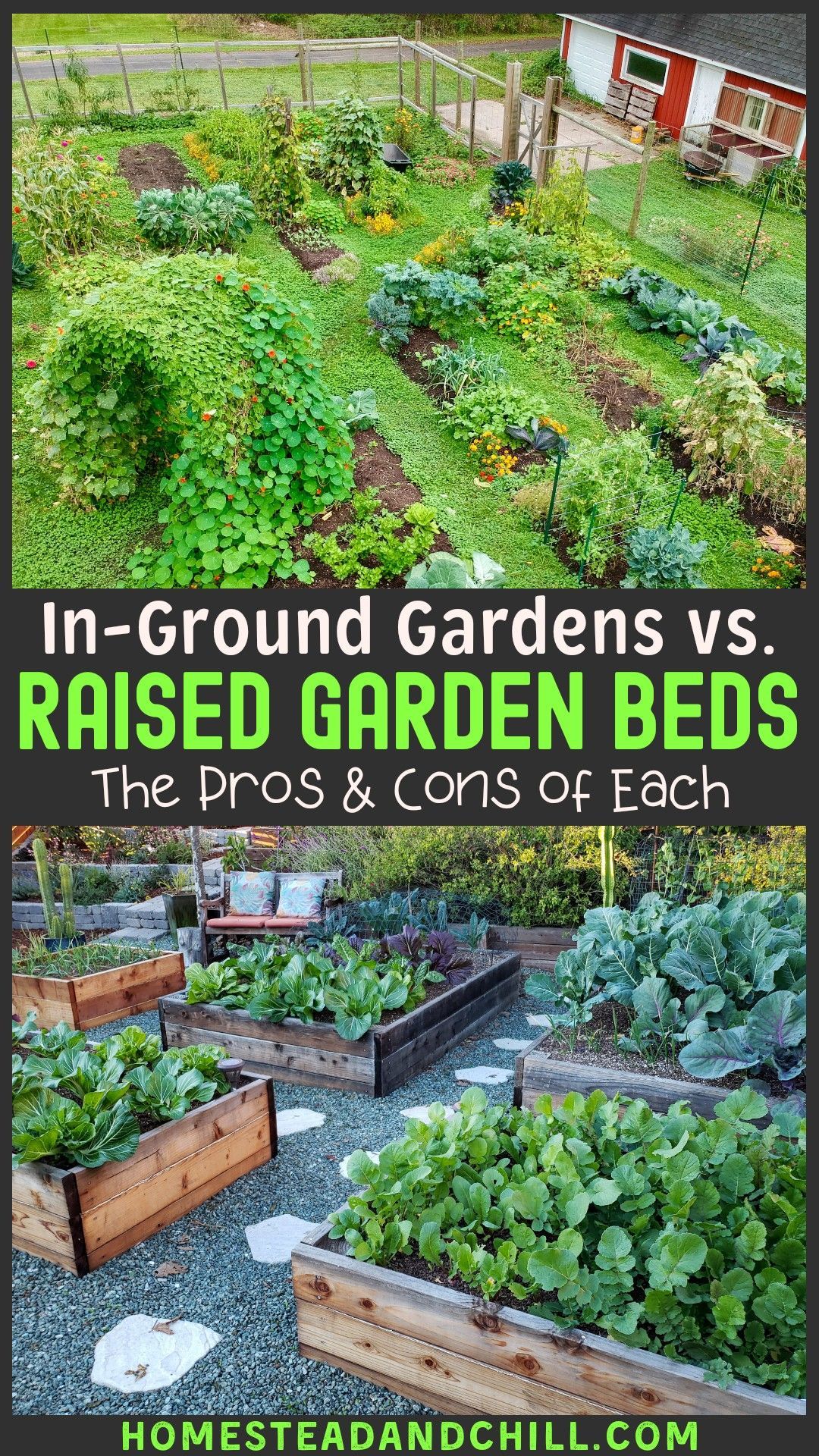 Raised Garden Beds vs. In-Ground Gardens: the Pros & Cons -   17 garden design Plants raised beds ideas