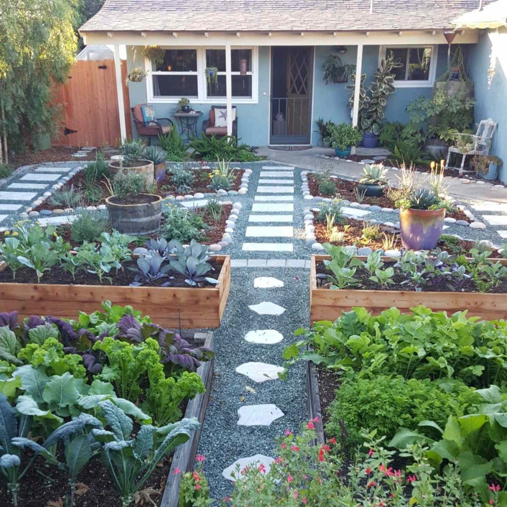 17 garden design Plants raised beds ideas