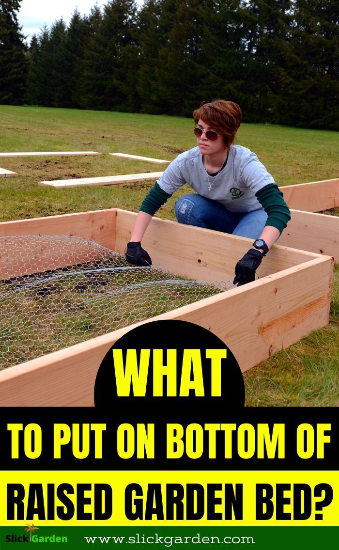 What Do I Put On The Bottom Of A Raised Garden Bed? -   17 garden design Plants raised beds ideas