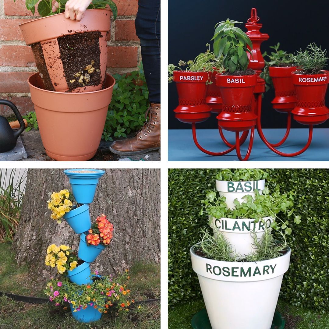 5 Small-Space Gardening Ideas -   17 planting creative ideas