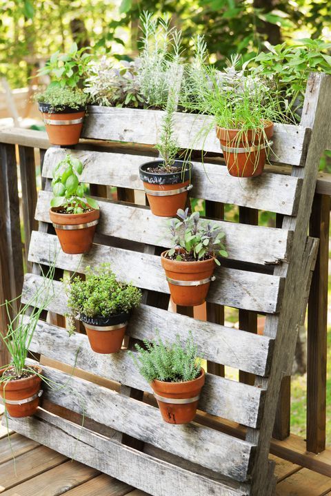 Creative Ways to Maximize a Small Garden -   17 planting creative ideas