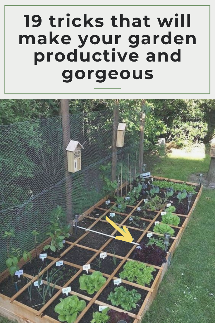 19 Simple Gardening Hacks You Probably Didn't Know About -   17 planting creative ideas
