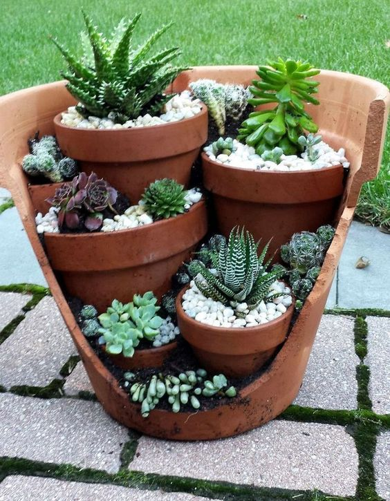 DIY Succulent Planter Ideas | The Happy Housie -   17 planting creative ideas