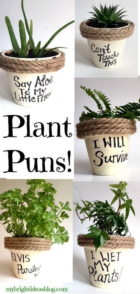 Plant Puns on Painted Potted Flower Pots - Adorable Gift Idea to Make Them Smile! - My Bright Ideas -   17 planting creative ideas
