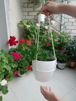 Make Your Plants Hang With This Cool String Trick -   17 planting creative ideas