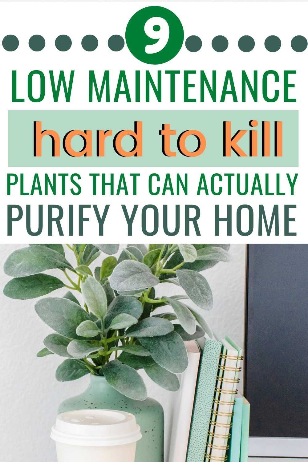 9 Best Hard to Kill Air Purifying Plants You Need in Your Home -   18 plants Air houseplant ideas
