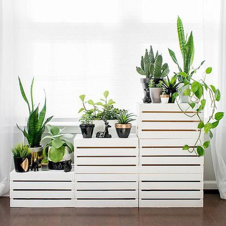 18 plants Stand simple ideas