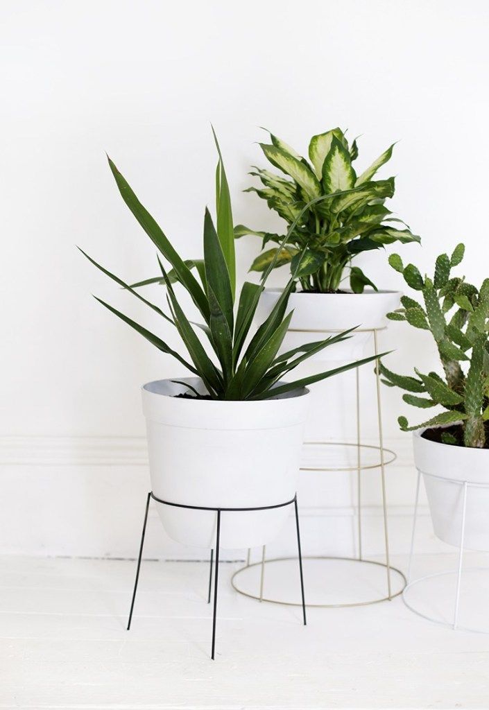 Unique Plant Stands Ideas for Your Home - My Tasteful Space -   18 plants Stand simple ideas