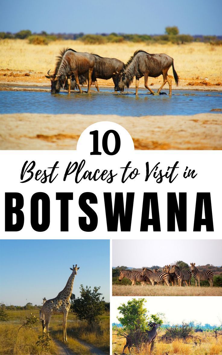 Travel Blogs and Guides about Botswana | wordoftravel -   18 travel destinations Africa adventure ideas