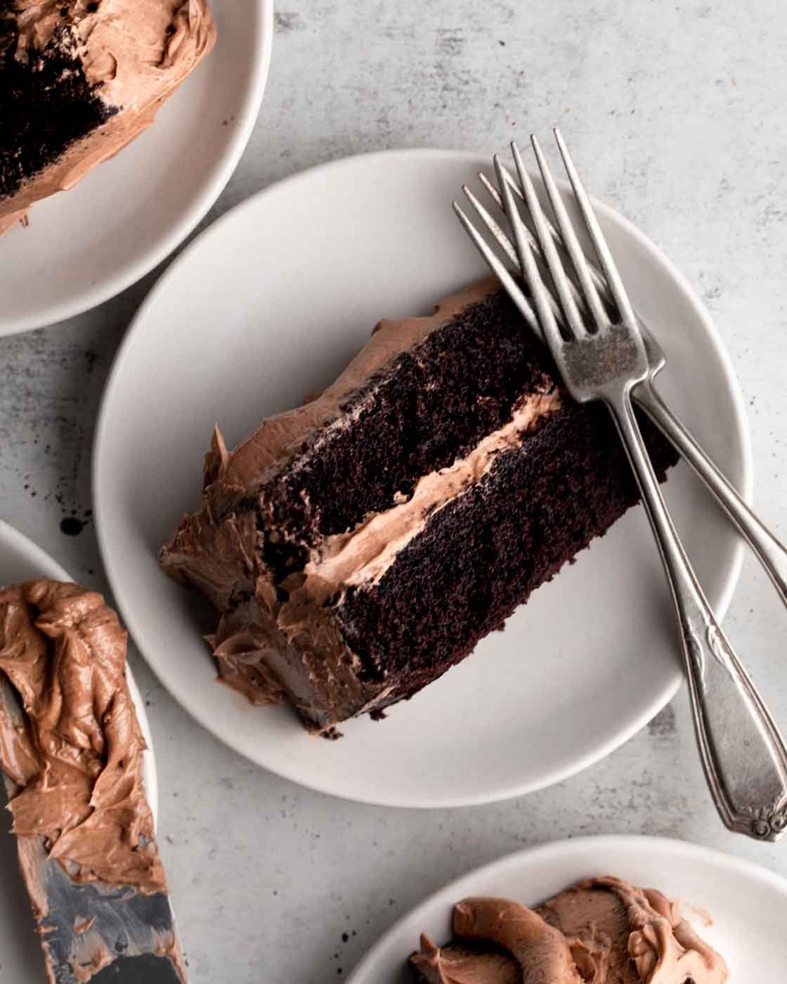Vegan Gluten-Free Chocolate Cake (Egg-Free, Dairy-Free) -   19 cake Amazing dairy free ideas