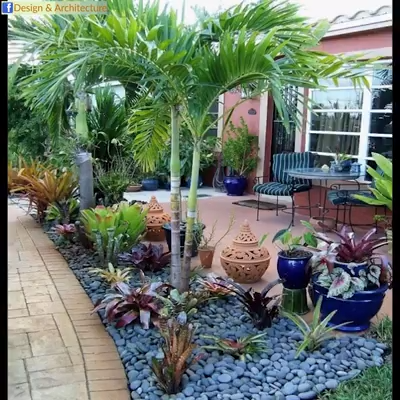 Outdoor and Interior Designs -   19 desert plants Landscaping ideas