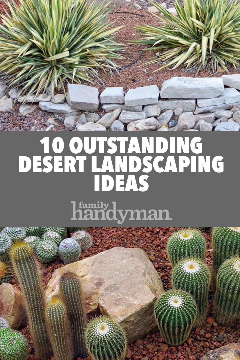 10 Outstanding Desert Landscaping Ideas -   19 desert plants Landscaping ideas