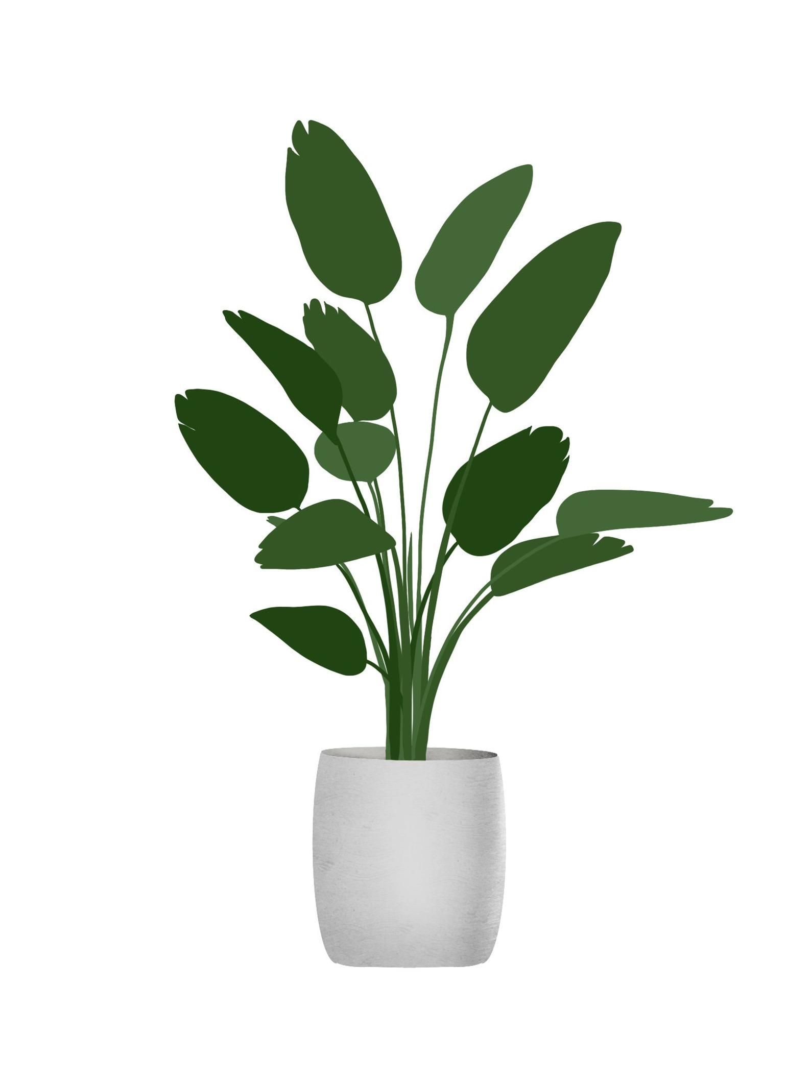 9 Plants Package Vector Clipart PNG AI Illustration Collage EPS -   19 plants Png interior rendering ideas