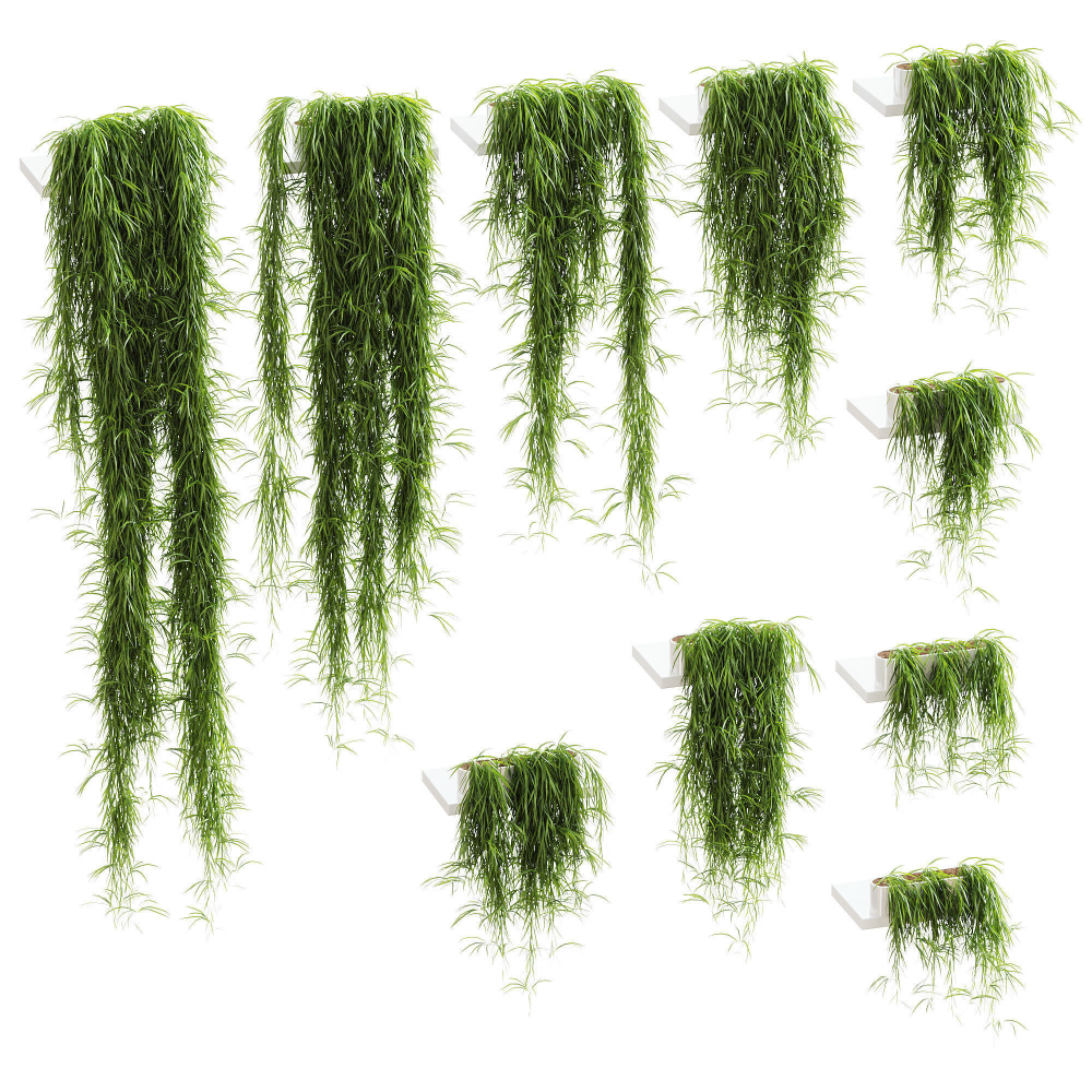 Hanging plants for shelves - 10 models - set 2 | 3D model -   19 plants Png interior rendering ideas