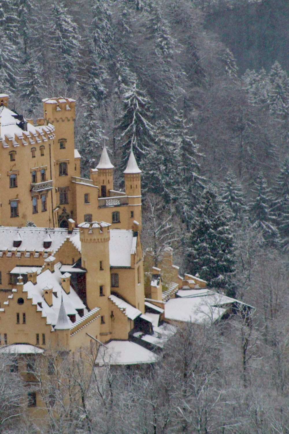 Bavaria -   19 travel destinations Germany neuschwanstein castle ideas