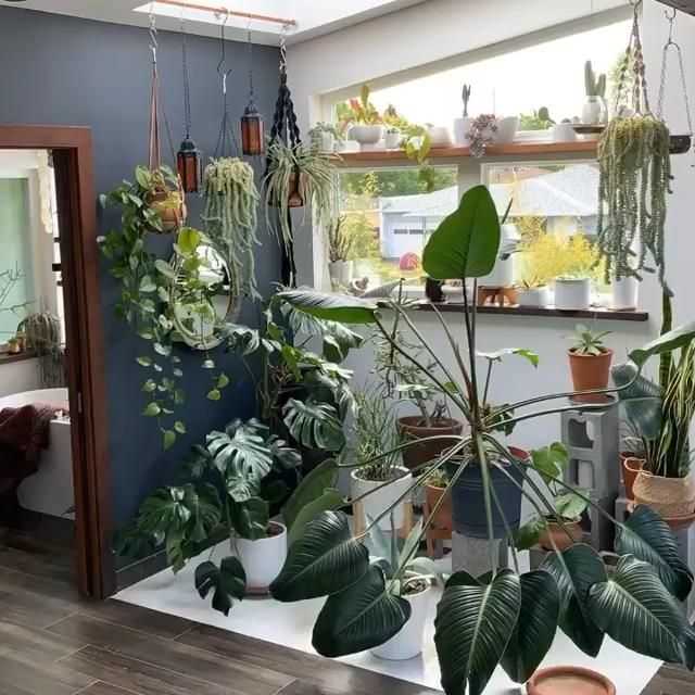 Vertical gardens idea in the tiny small apartment -   19 where to place plants In Living Room ideas