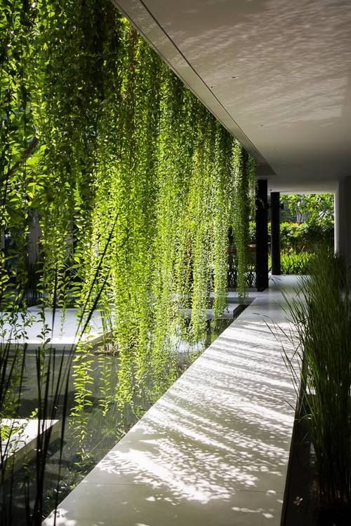 15 garden design Contemporary privacy screens ideas