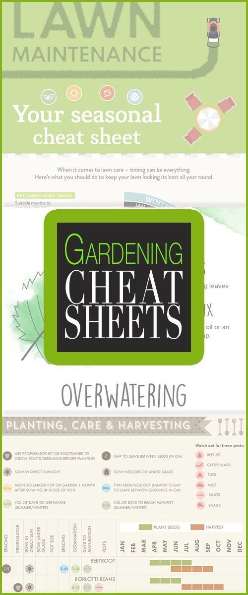 16 planting Garden cheat sheets ideas