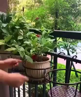 рџЊ·Creative flower standрџЊІGreat for patio, porch, balcony,рџЊїgarden, fence and more.рџЊ» -   17 potted plants design ideas