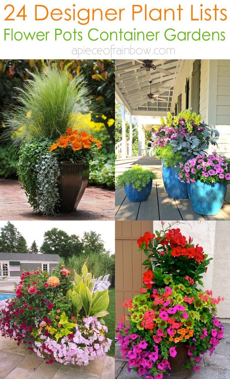 24 Stunning Container Garden Planting Ideas -   17 potted plants design ideas