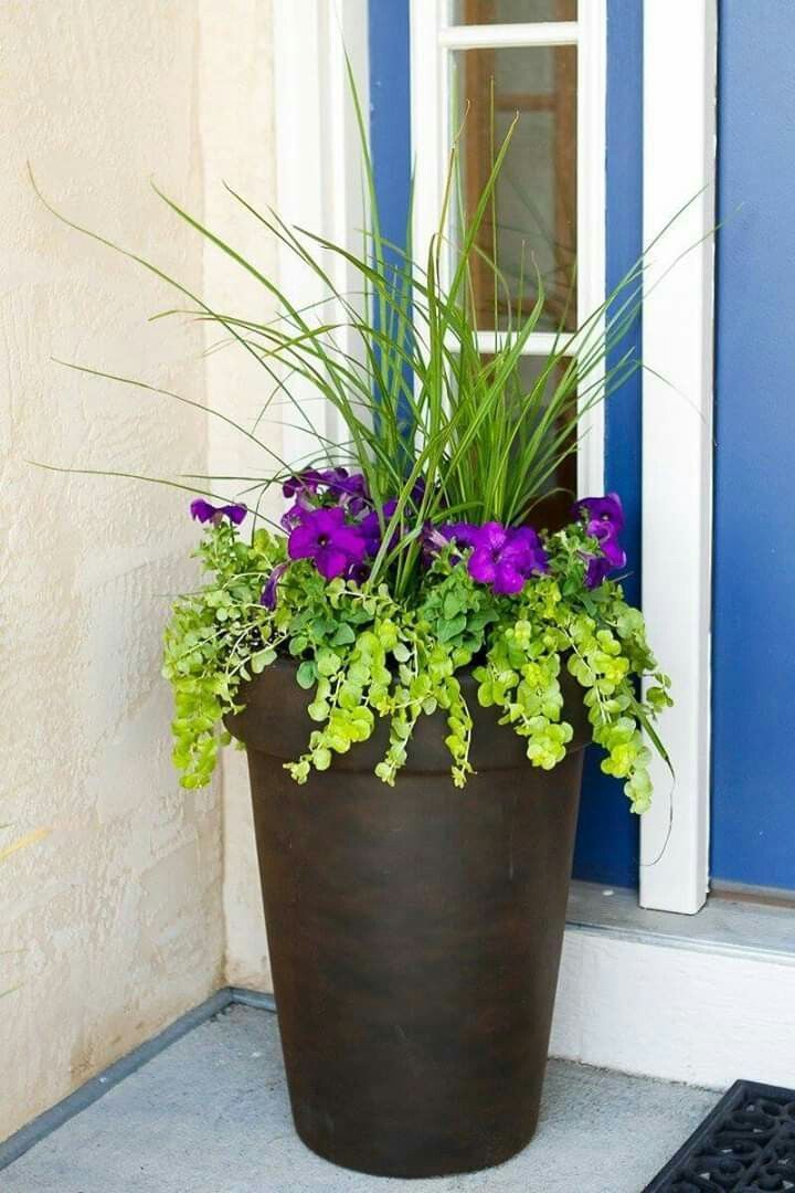 Leaving Facebook -   17 potted plants design ideas