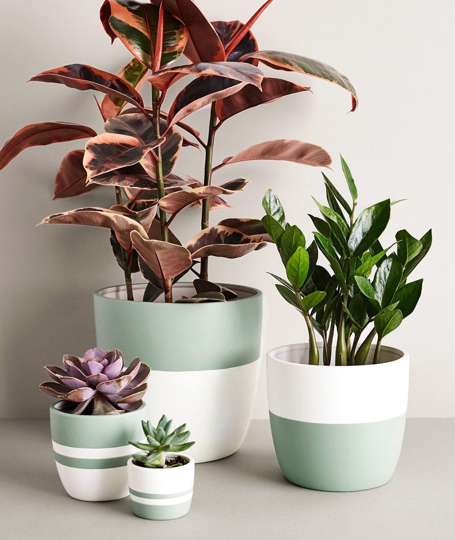 Large Seafoam Pot -   17 potted plants design ideas
