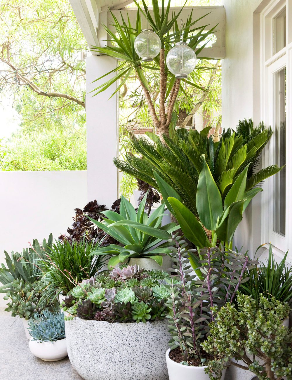 This guide to choosing pot plants will make you look like a pro gardener -   17 potted plants design ideas